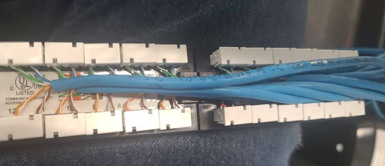 Blue Cat6 cable being terminated into a row of keystone jacks with pairs untwisted to spec